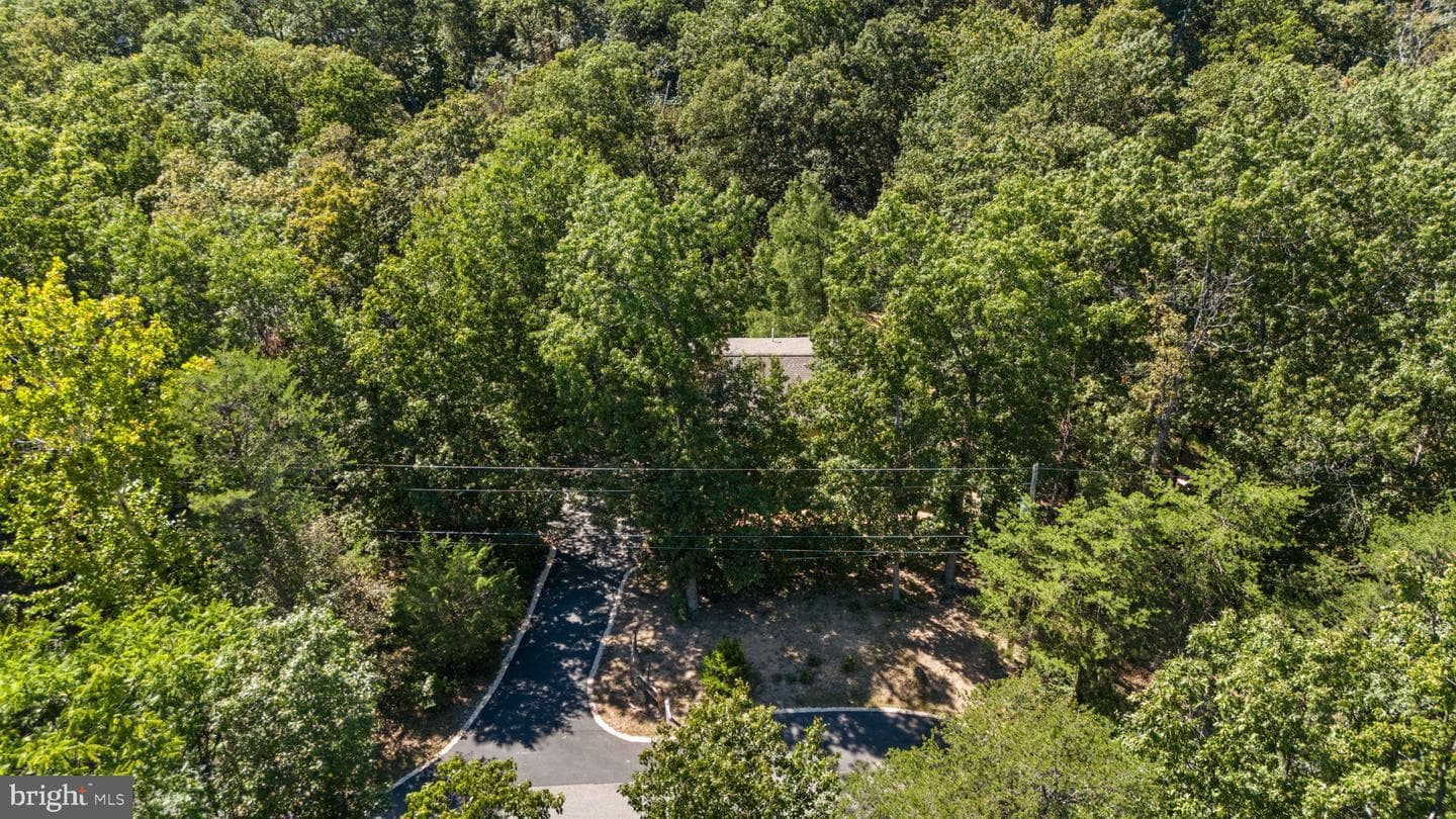 145 Basswood Drive photo 56