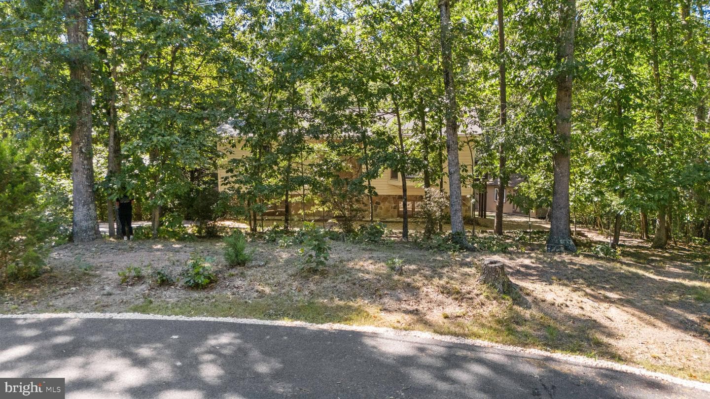 145 Basswood Drive photo 58