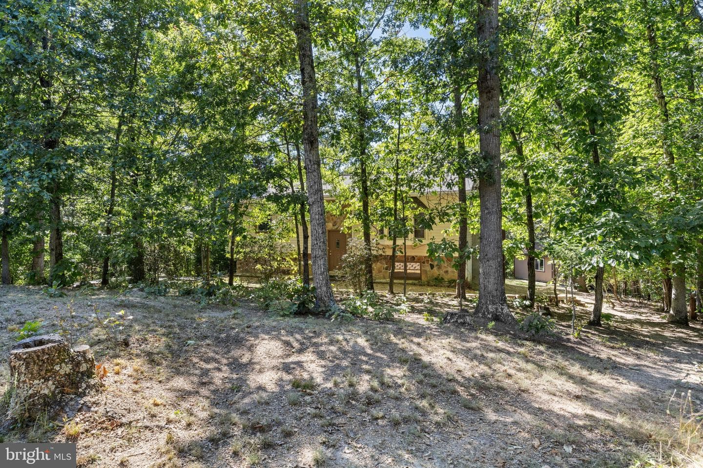145 Basswood Drive photo 61