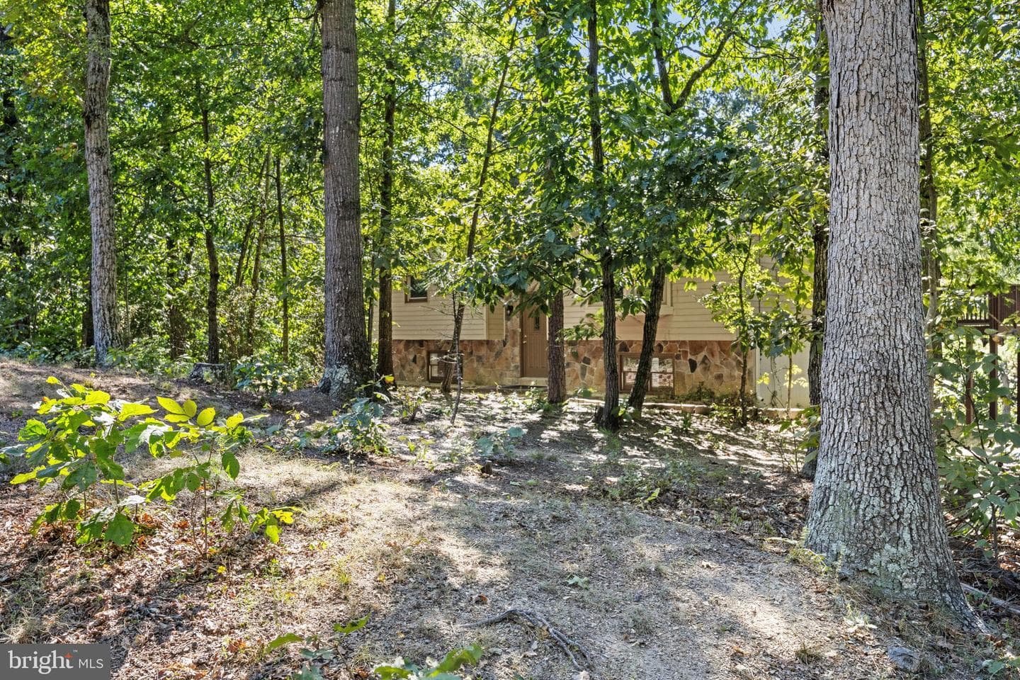 145 Basswood Drive photo 63