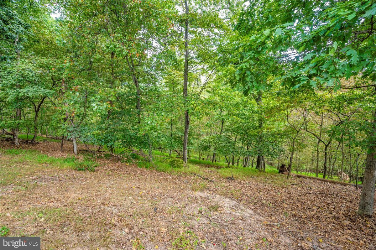 259 Nemacolin Trail photo 49