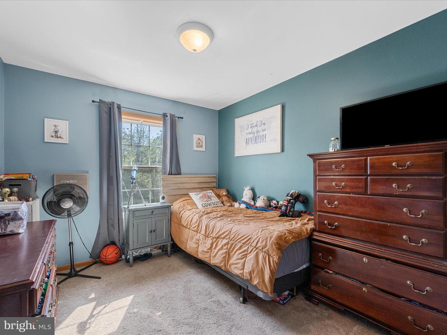 46 Solomons Court photo 23