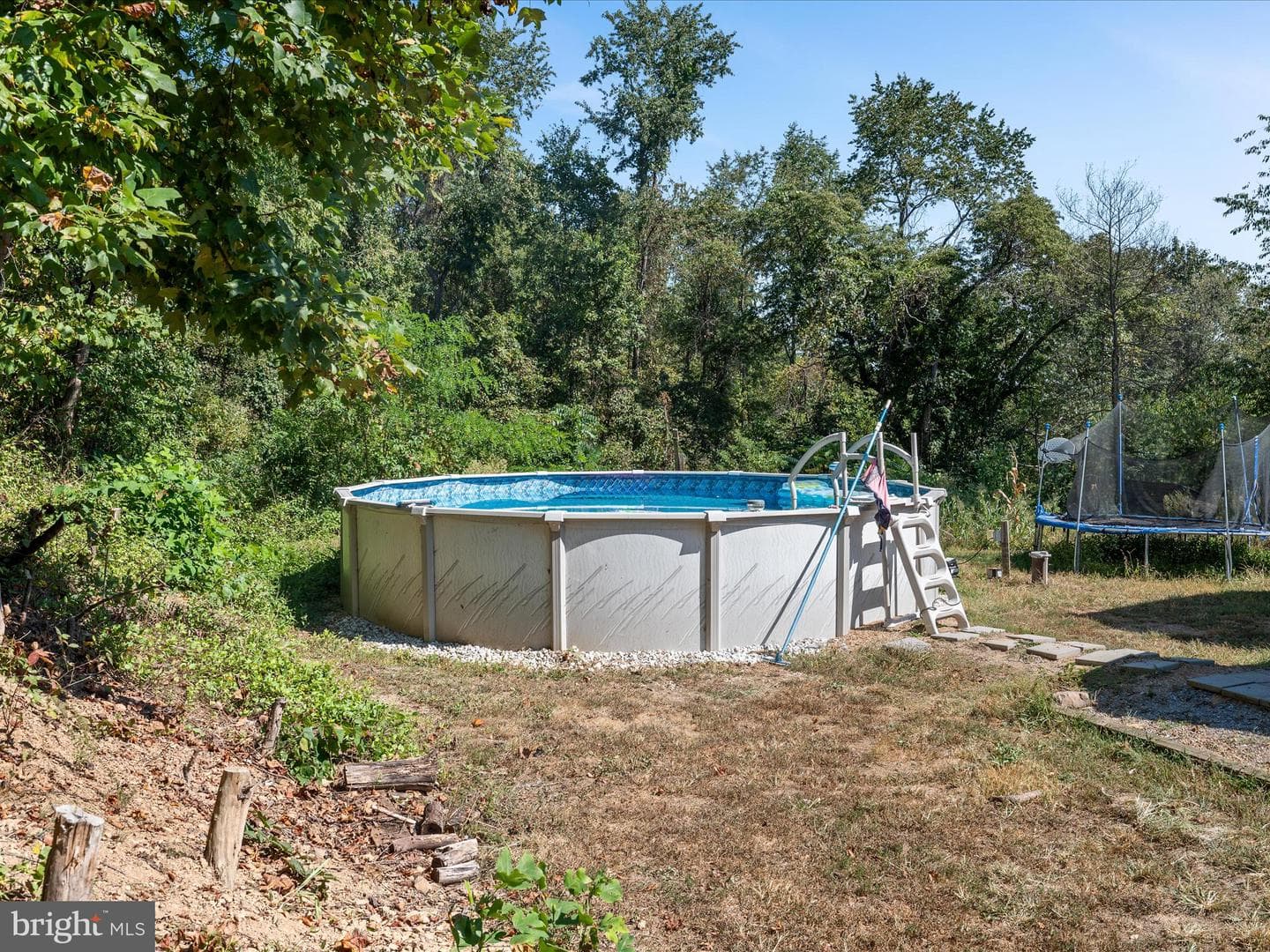 46 Solomons Court photo 35
