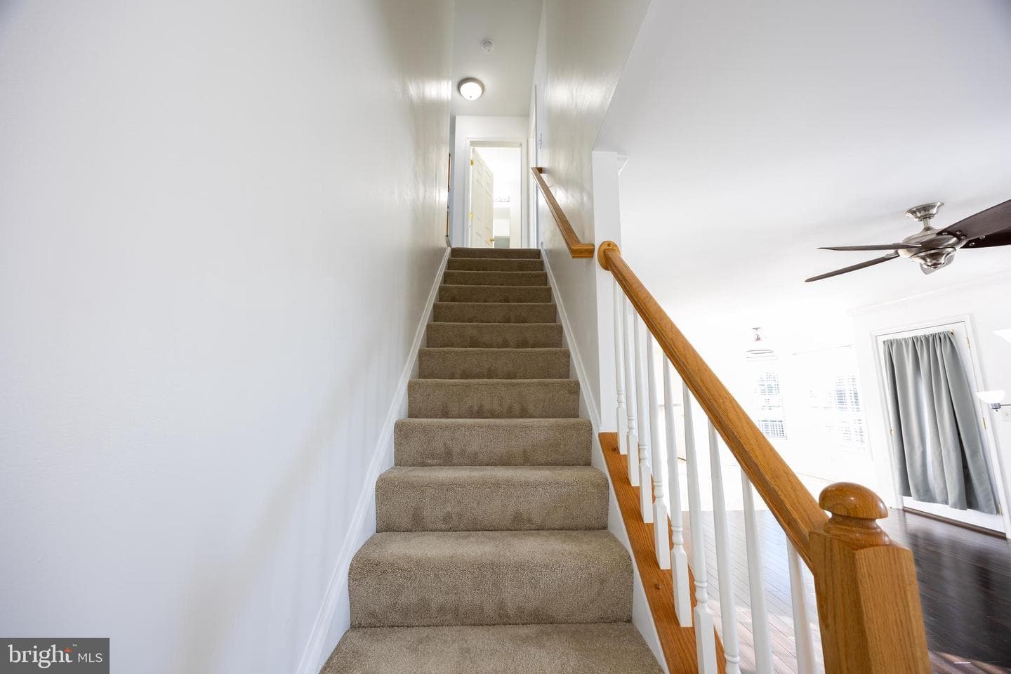 11 Pimlico Path photo 29