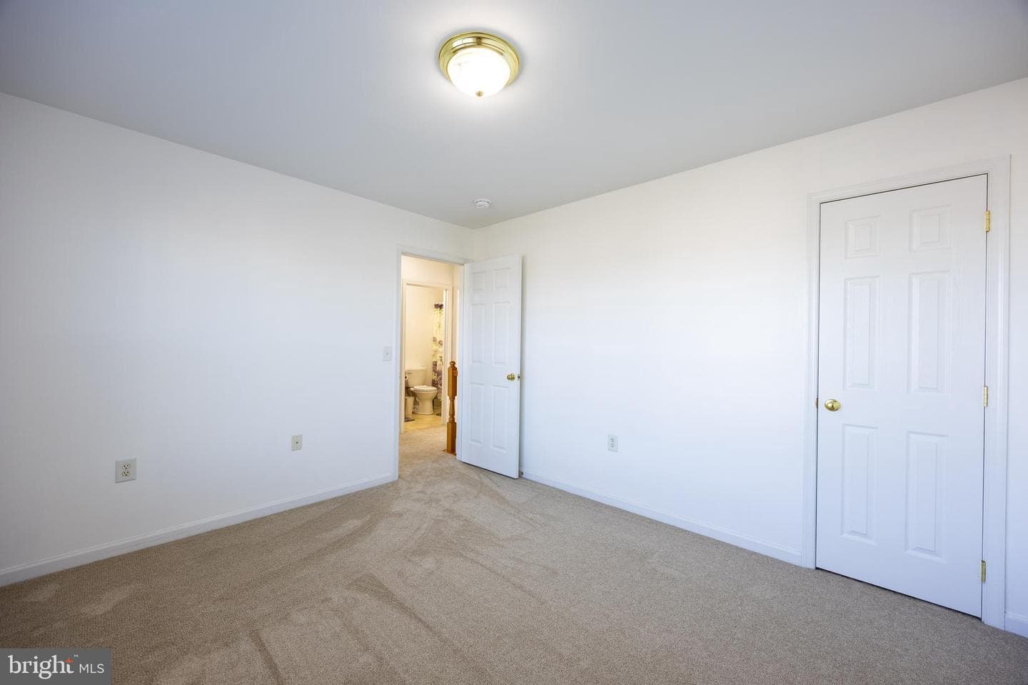 11 Pimlico Path photo 37