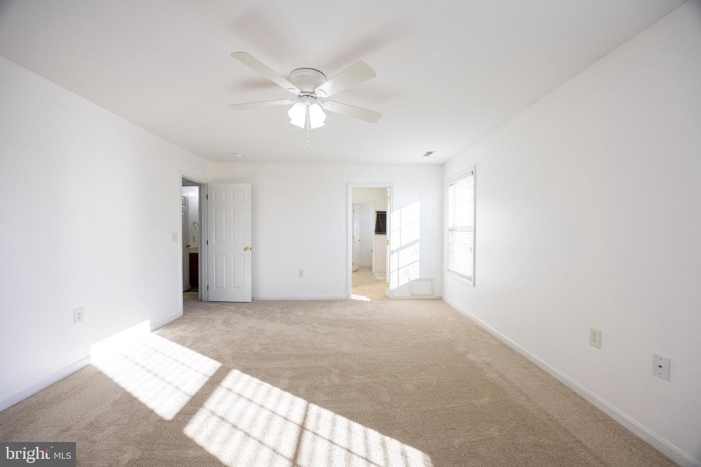 11 Pimlico Path photo 45