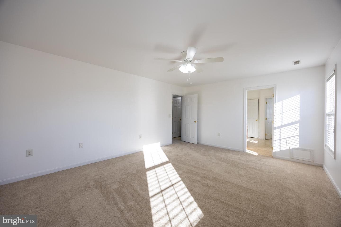11 Pimlico Path photo 46