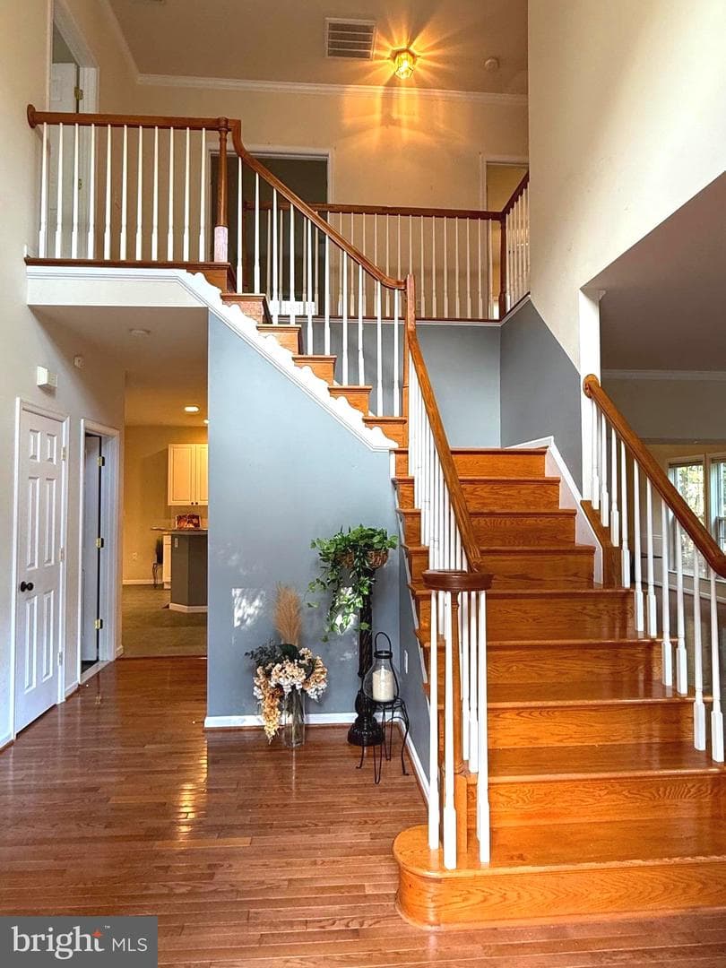 350 Rotterham Drive photo 15