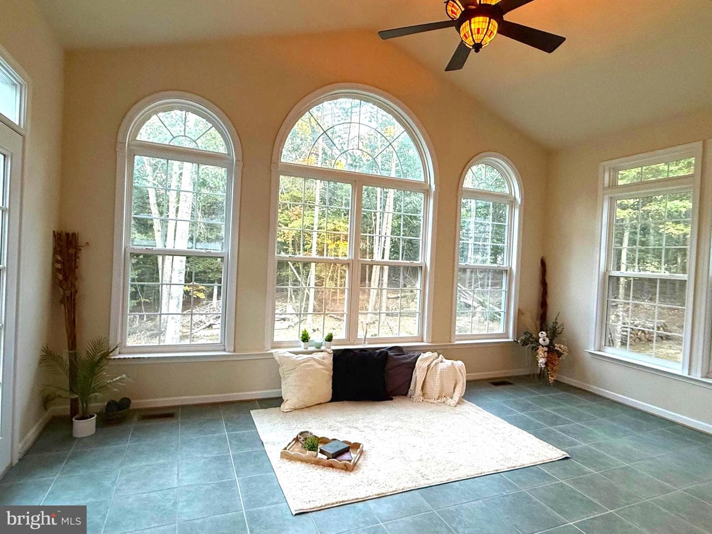 350 Rotterham Drive photo 30