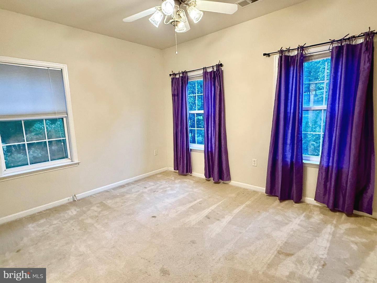 350 Rotterham Drive photo 48