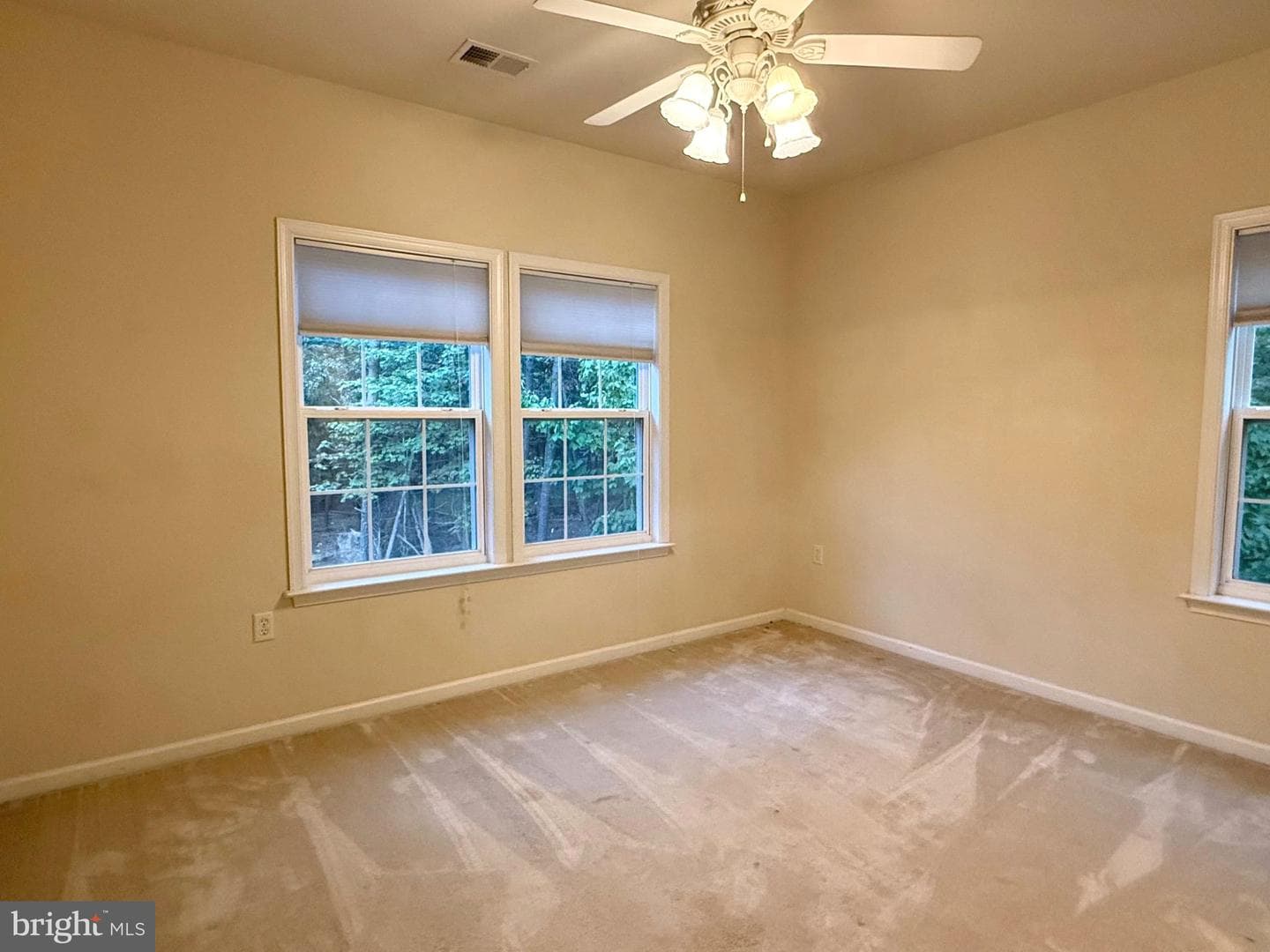 350 Rotterham Drive photo 50
