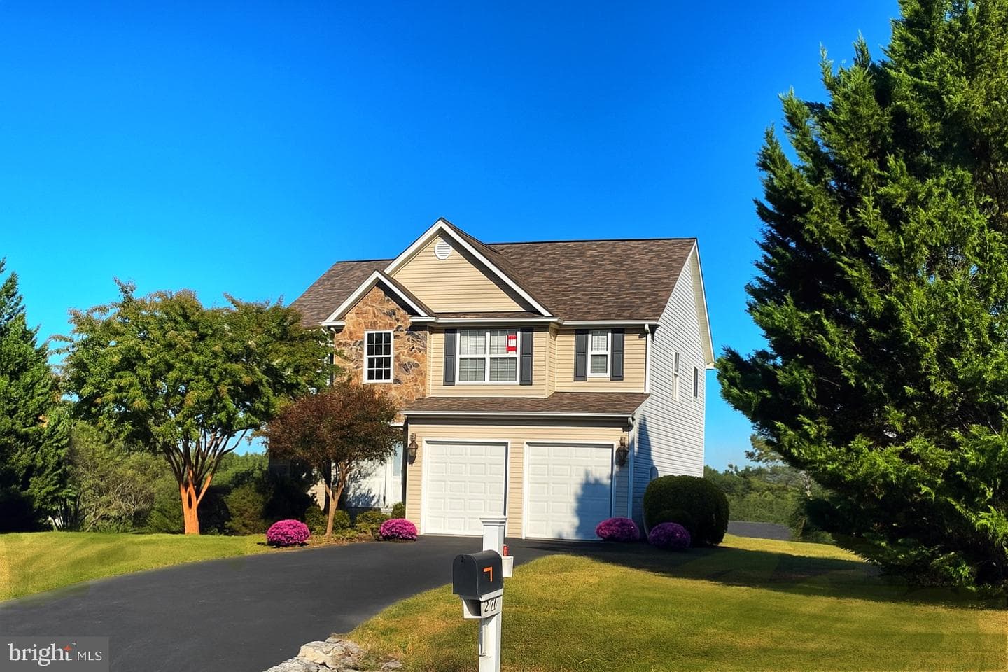 554 Braeburn Drive photo 3