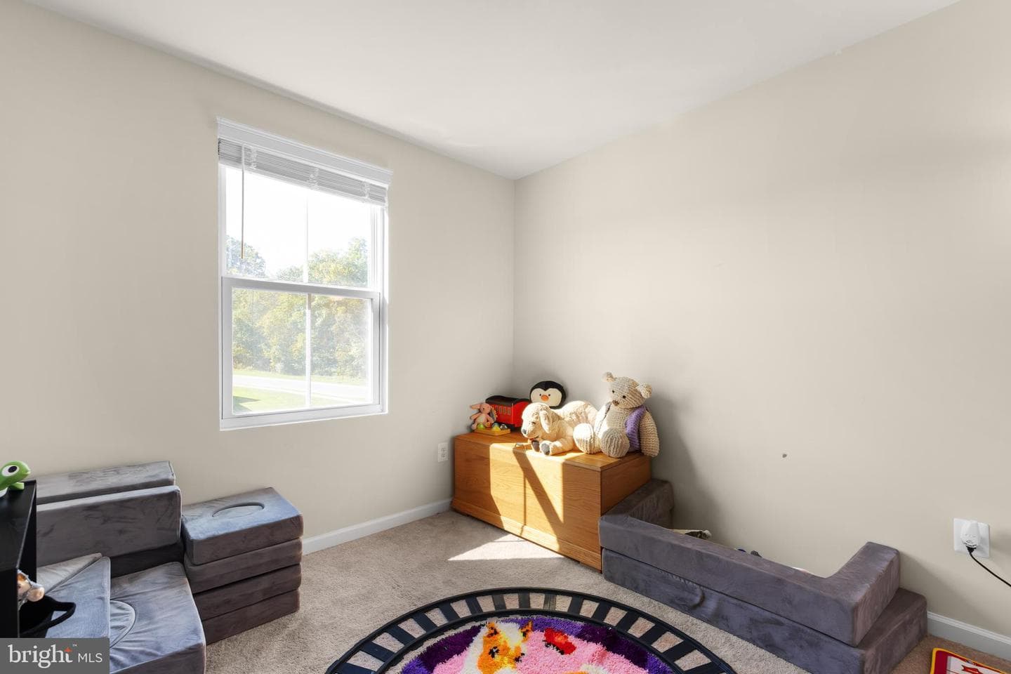 272 Rhea Drive photo 23