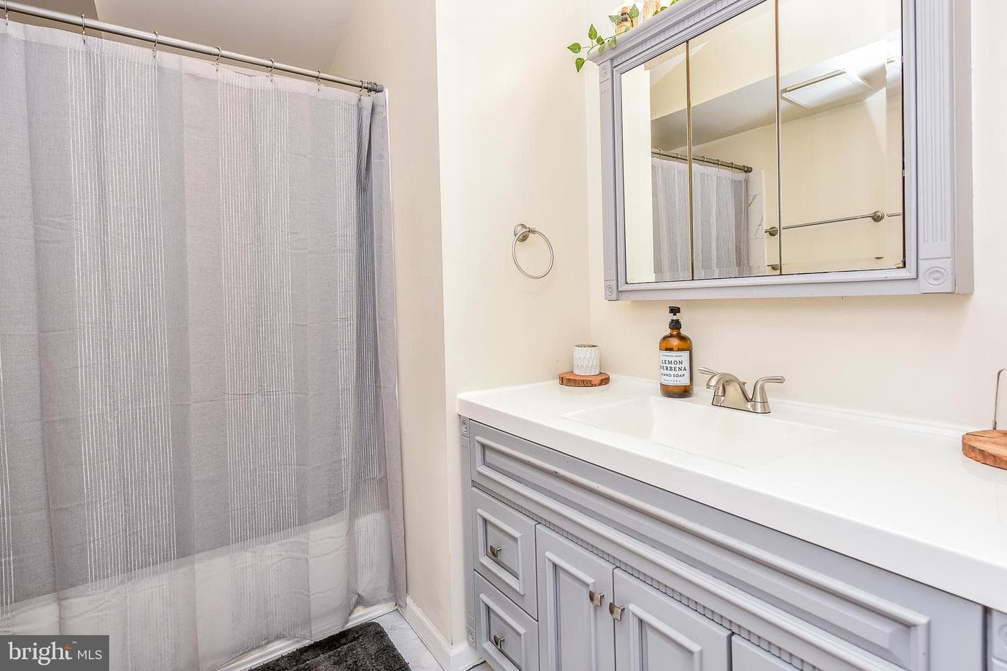 161 Dewdrop Lane photo 13