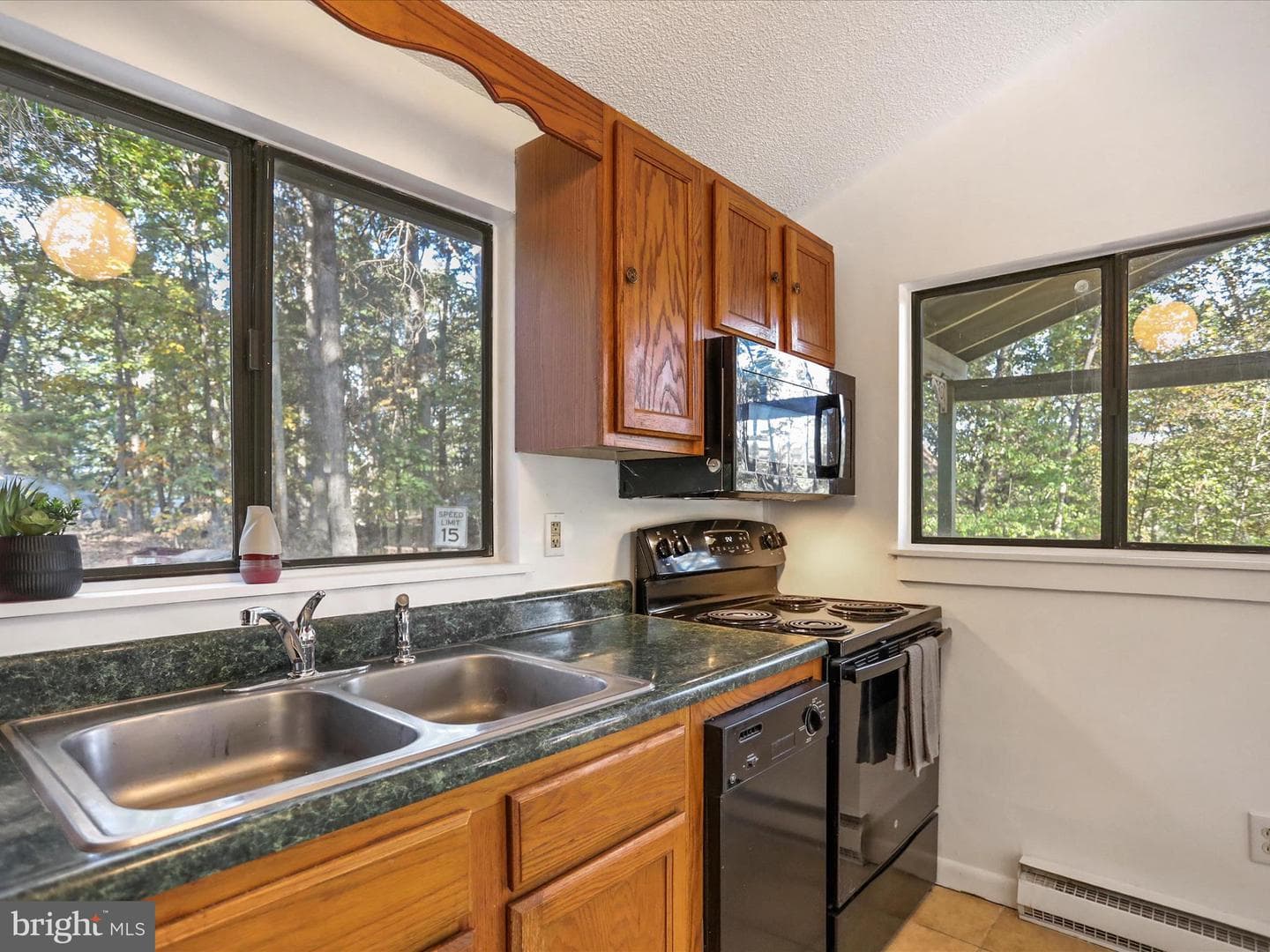 261 Huckleberry Drive photo 9