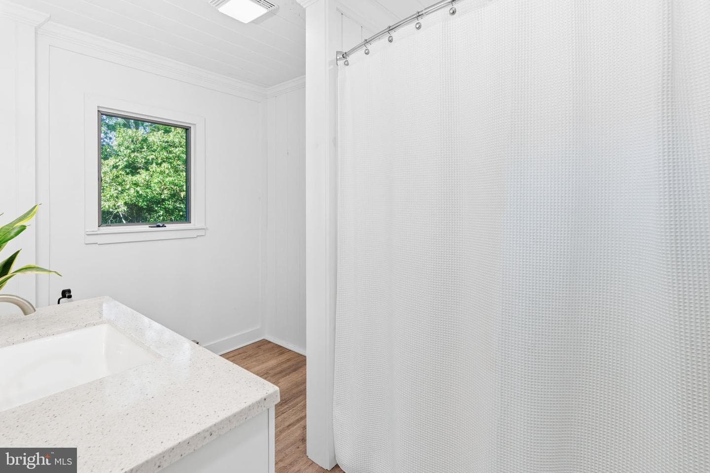 53 Delphinium Lane photo 44