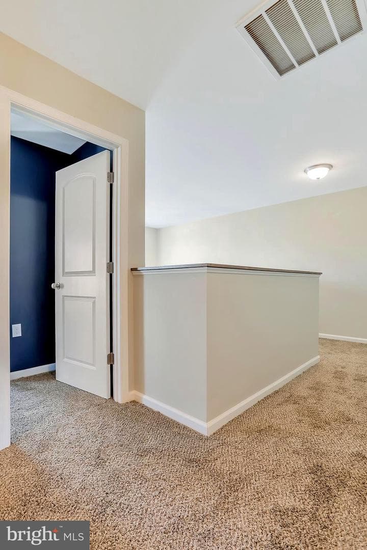 117 Florence Lane photo 34