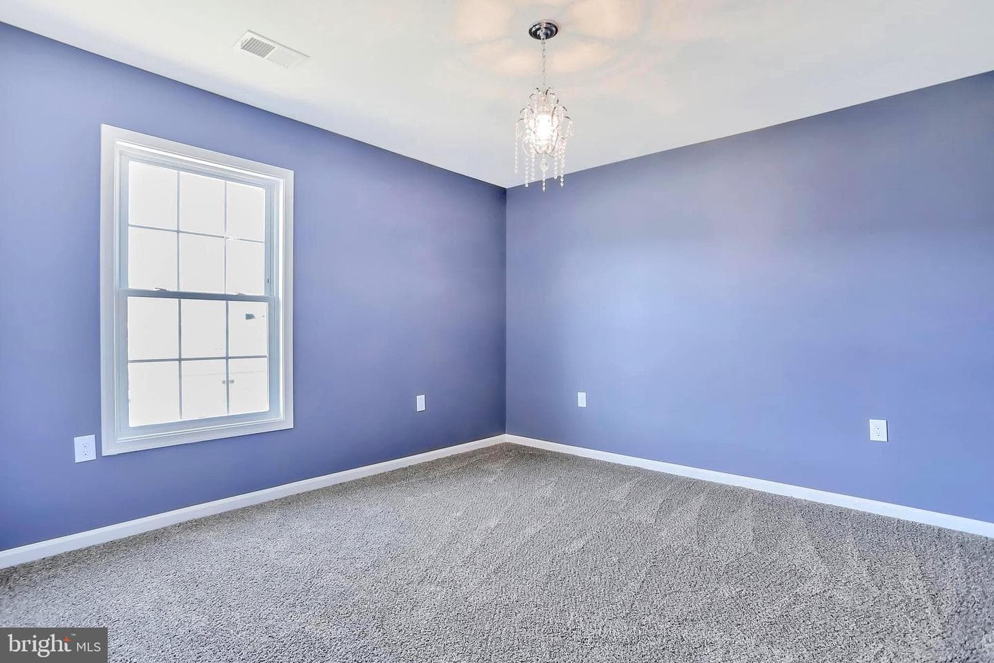 117 Florence Lane photo 35