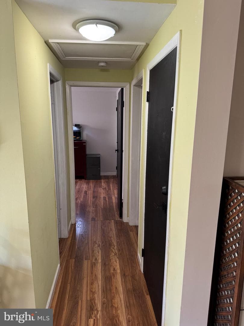 382 Fegan Road photo 29