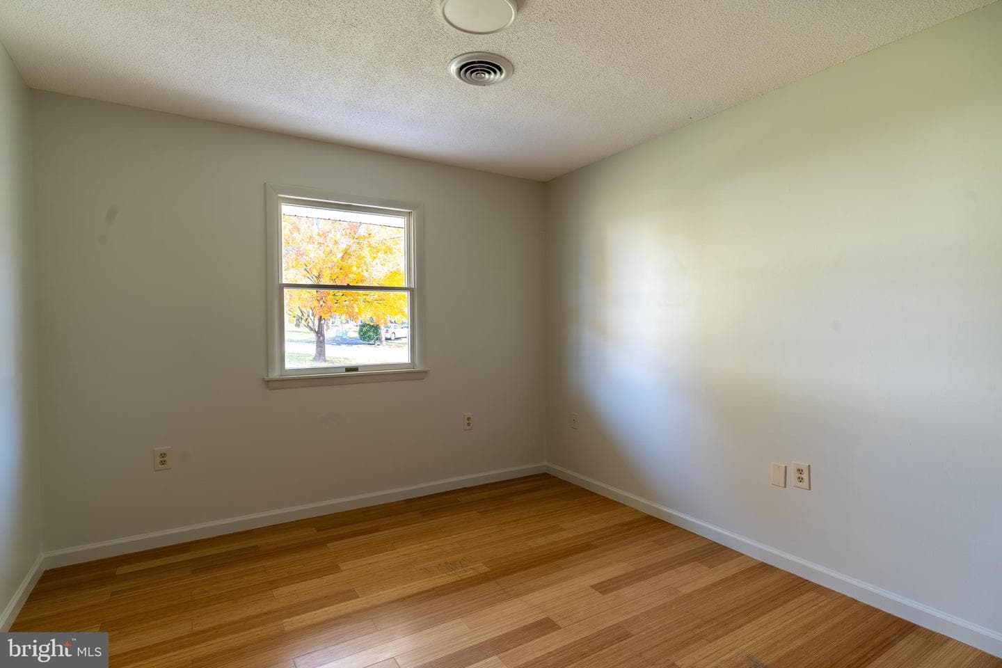 392 Clifford Drive photo 37