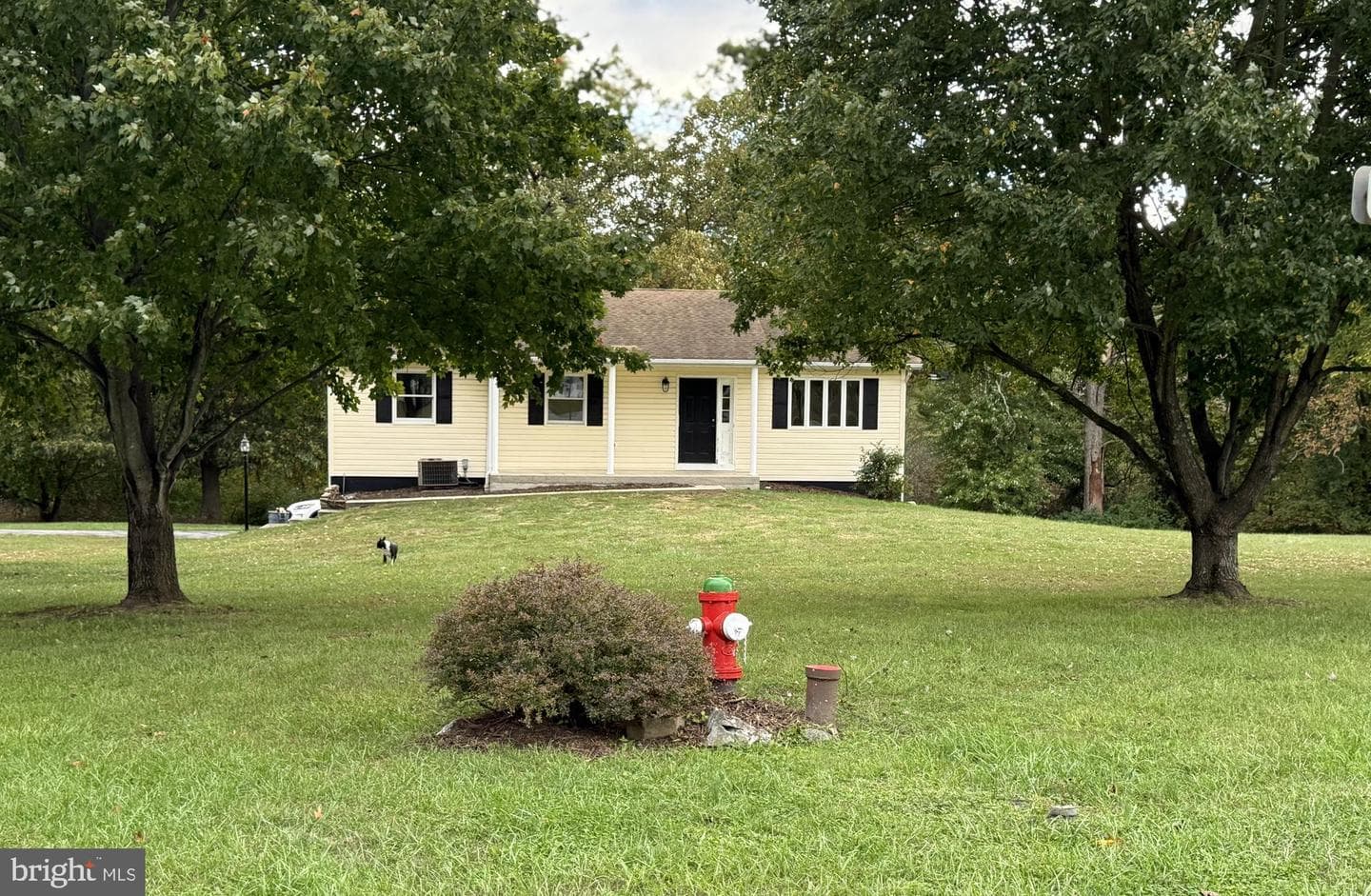 392 Clifford Drive photo 7