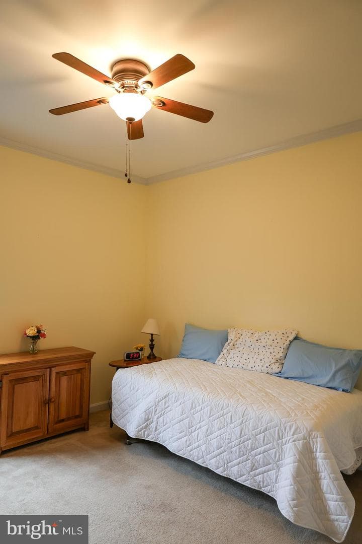 139 Pinnacle Drive photo 36