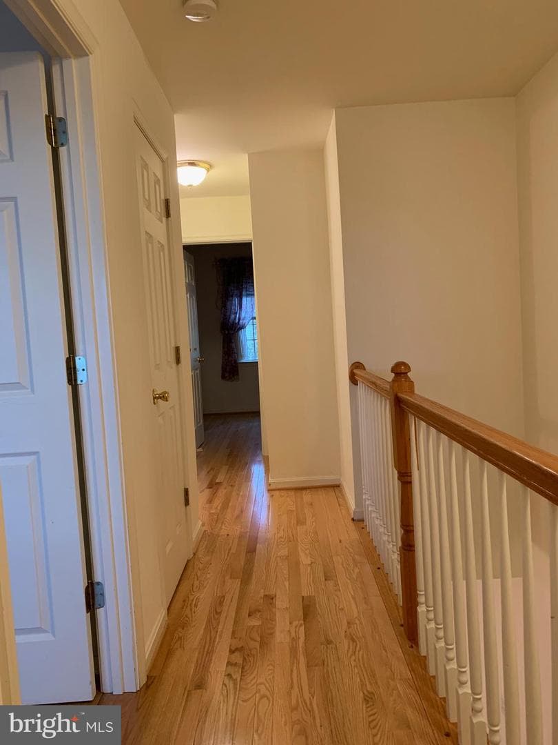 53 Effie Lane photo 11