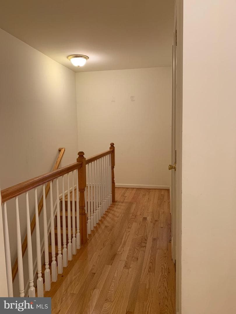 53 Effie Lane photo 16