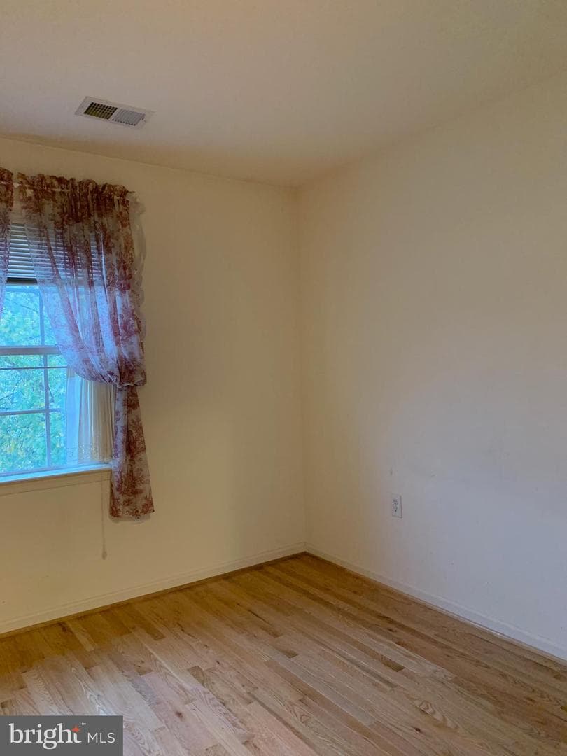 53 Effie Lane photo 20