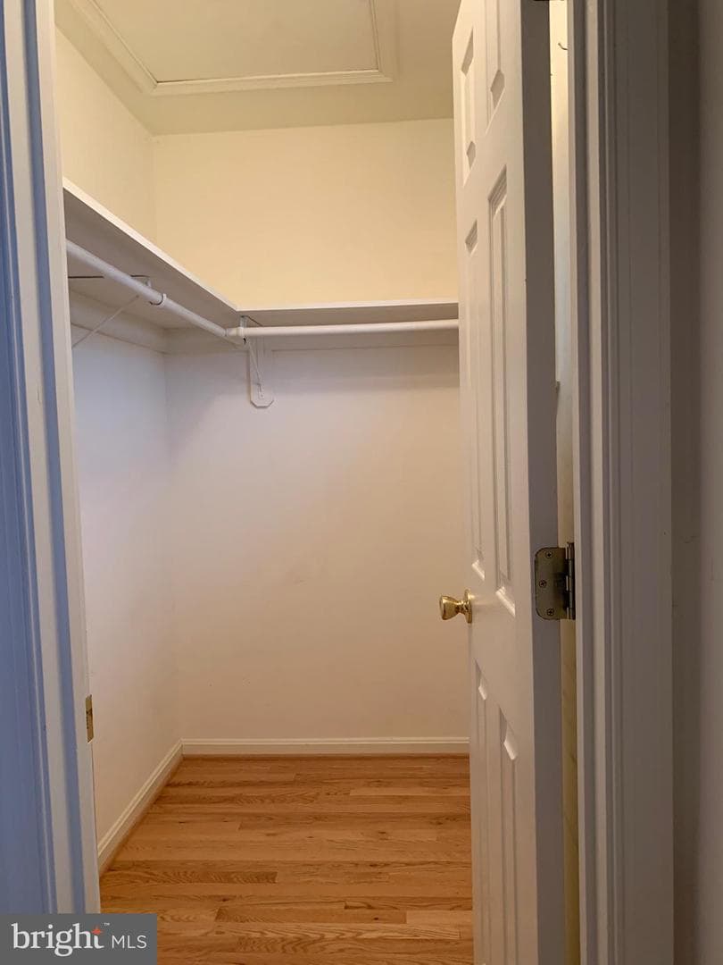 53 Effie Lane photo 28