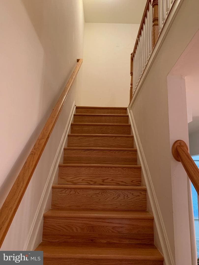 53 Effie Lane photo 37