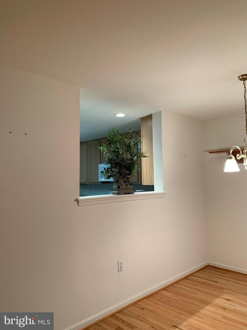 53 Effie Lane photo 39