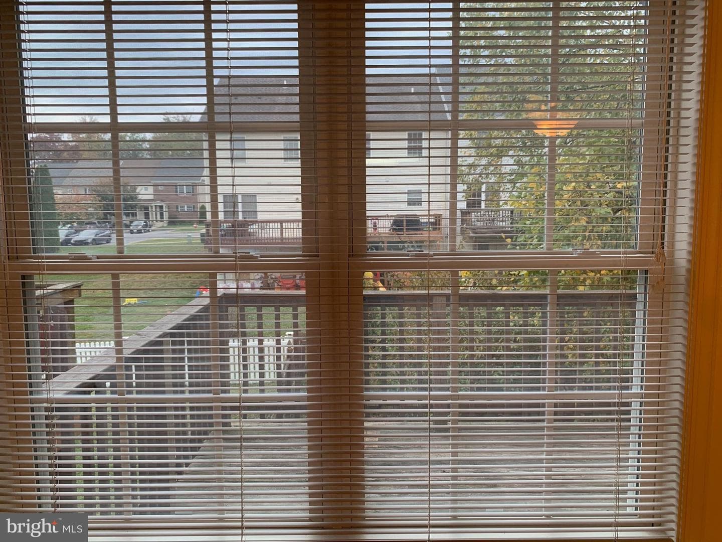 53 Effie Lane photo 41