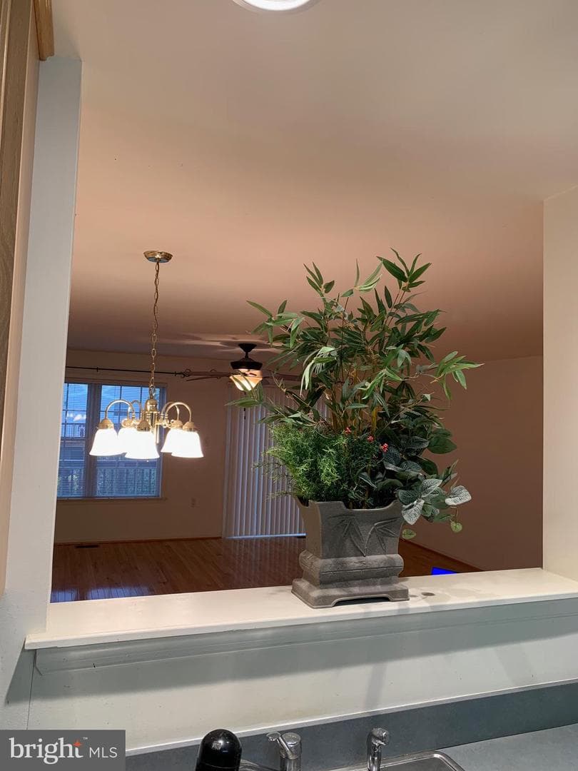 53 Effie Lane photo 42