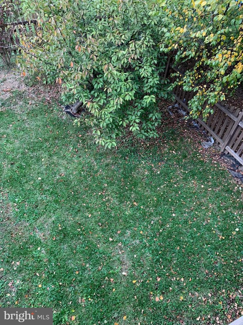 53 Effie Lane photo 53