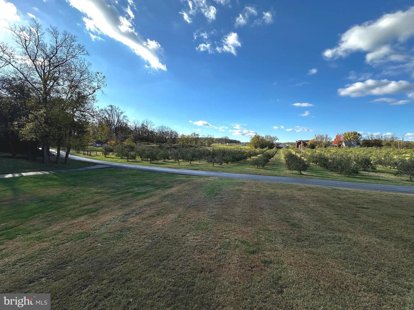 25 Mish Road photo 23
