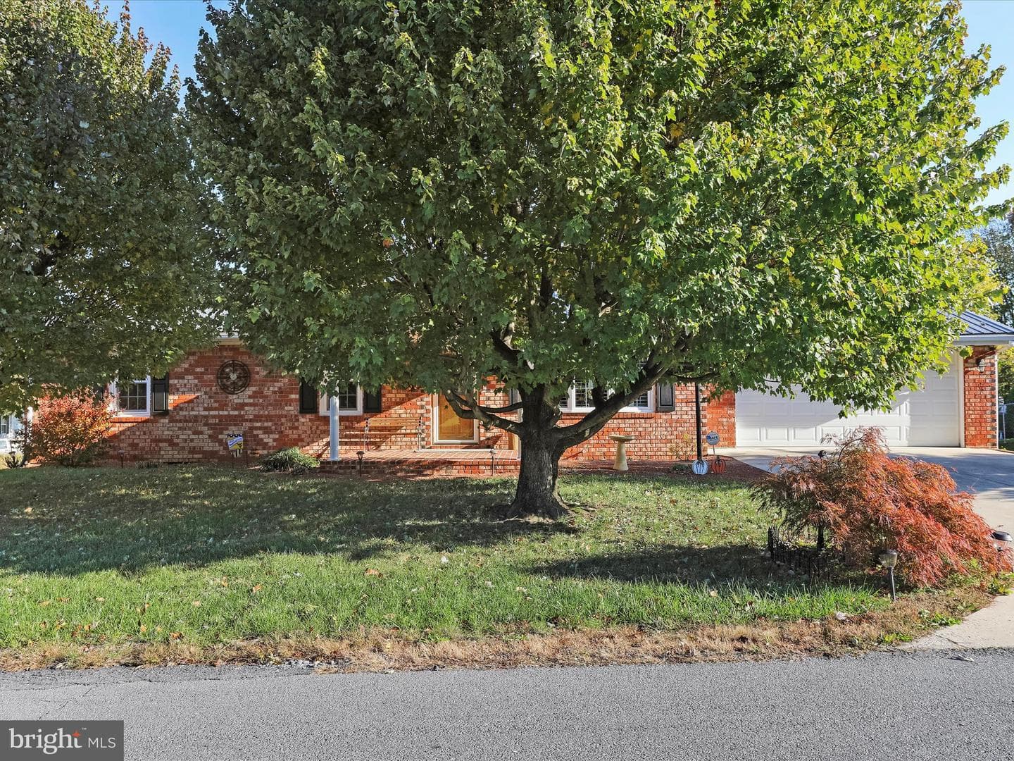 647 Mimosa Drive photo 3