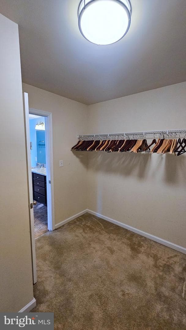 86 Dinwiddie Way photo 46