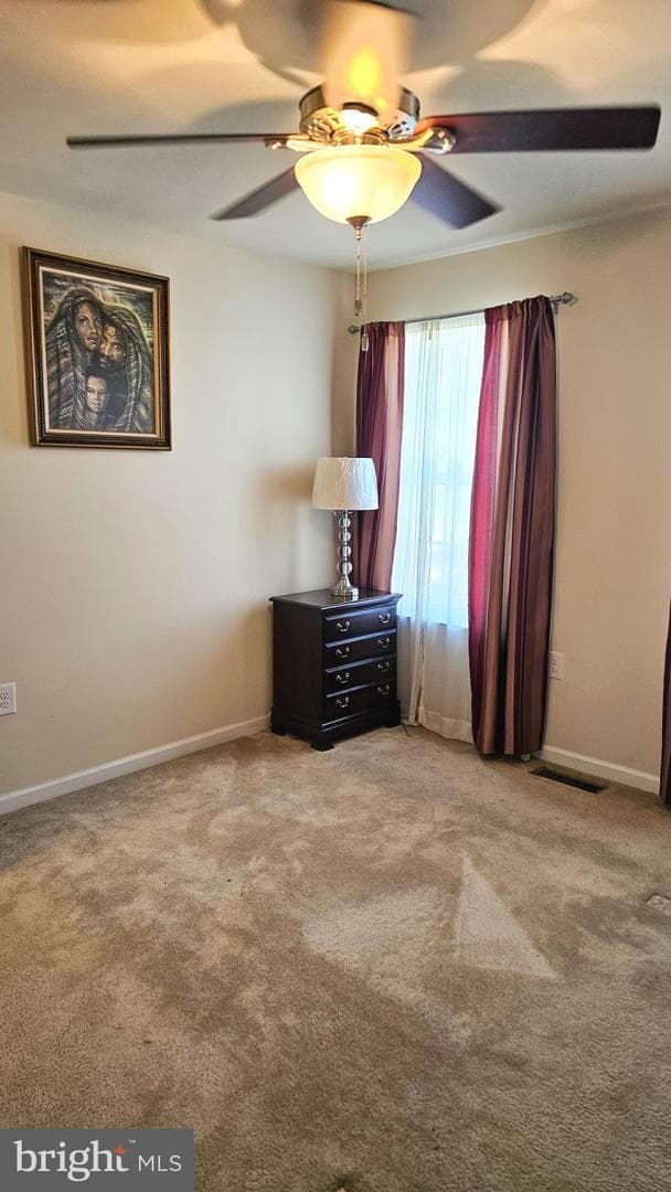 86 Dinwiddie Way photo 52