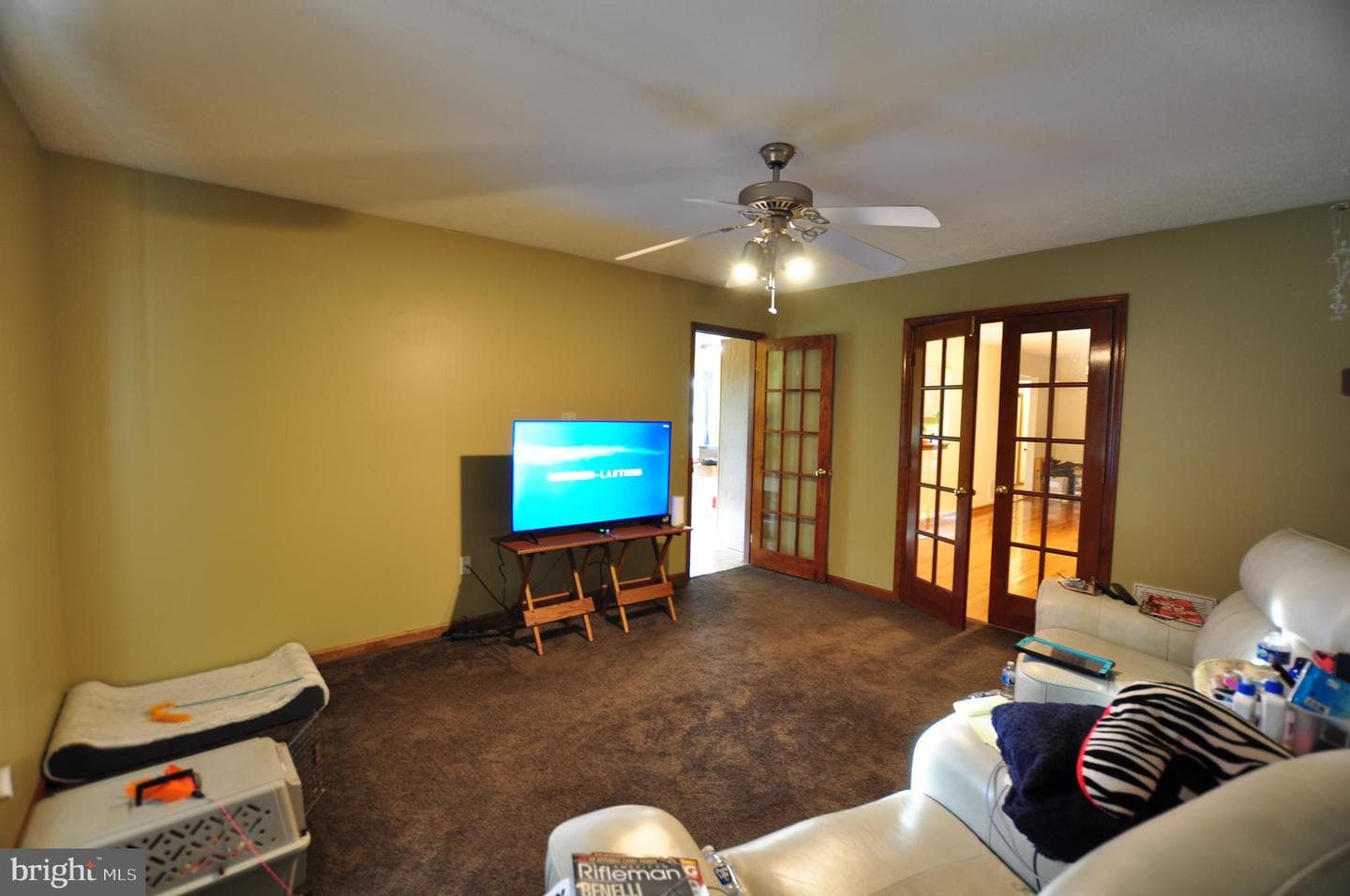 347 Irish Lane photo 17