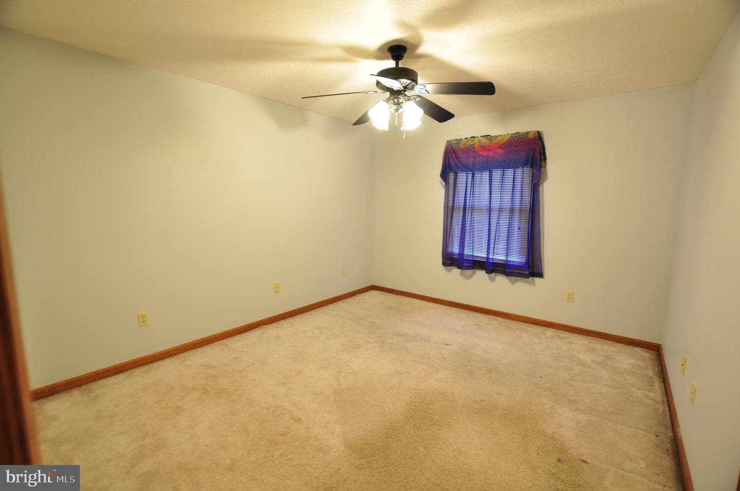 347 Irish Lane photo 33
