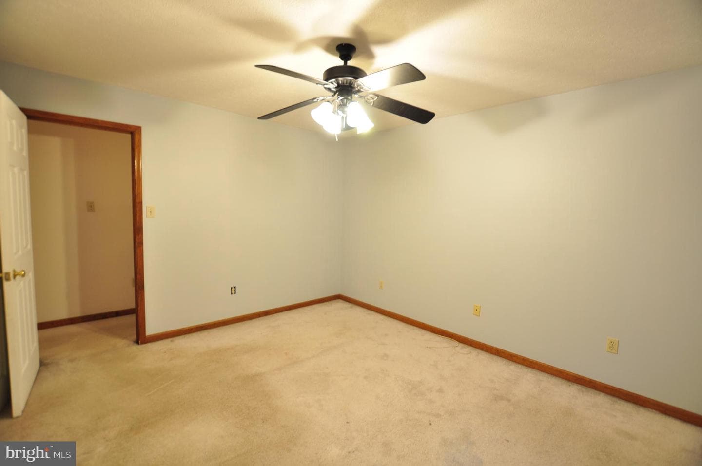 347 Irish Lane photo 35