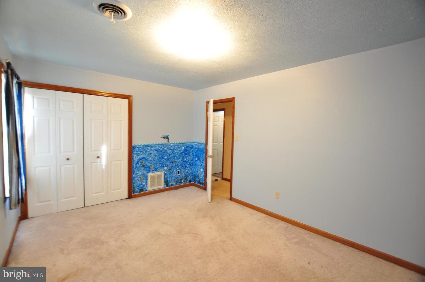 347 Irish Lane photo 41