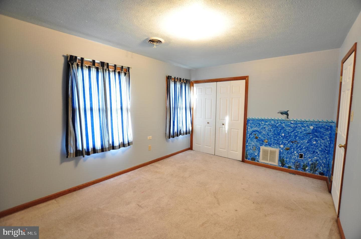 347 Irish Lane photo 42