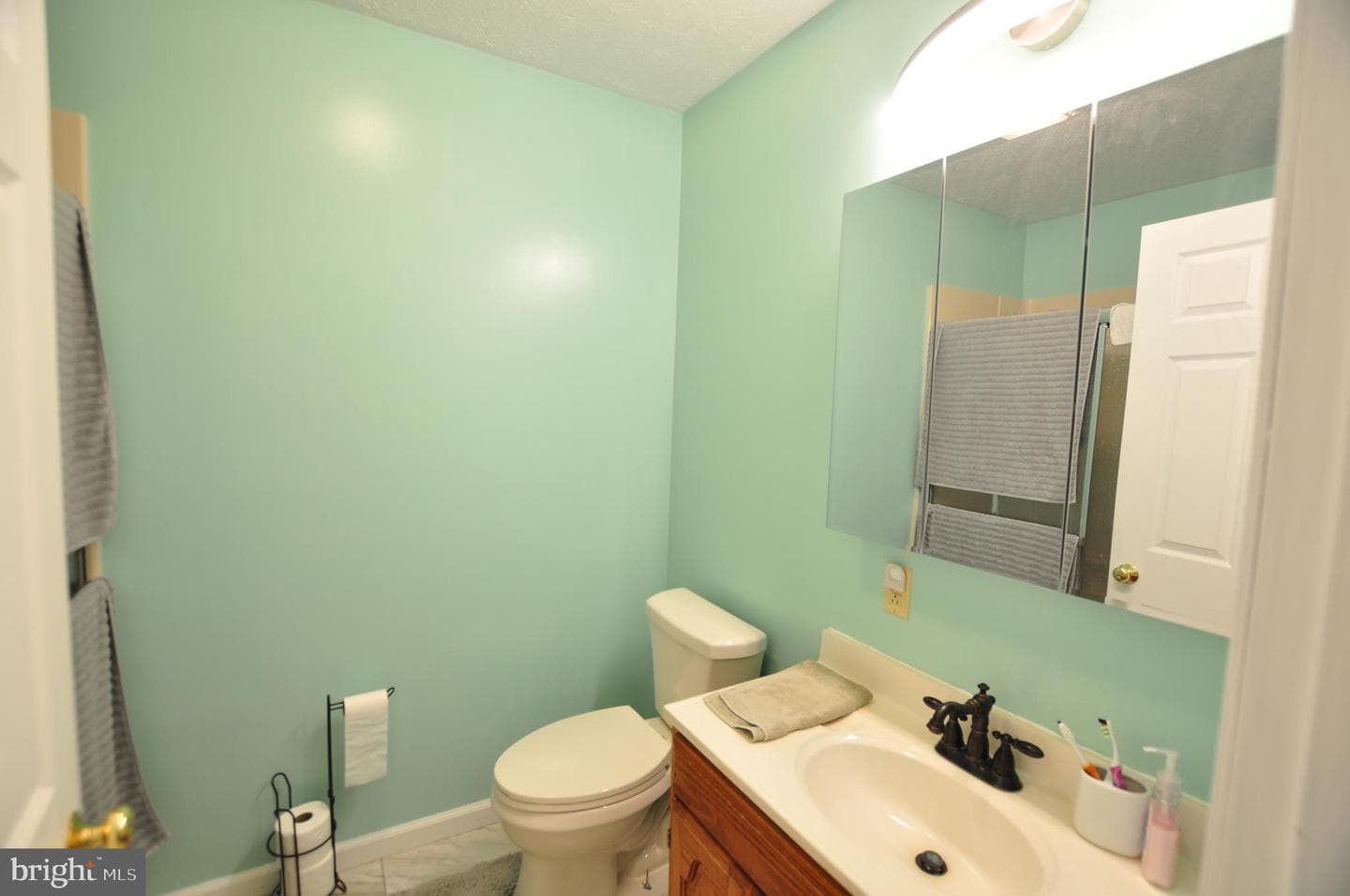 347 Irish Lane photo 48