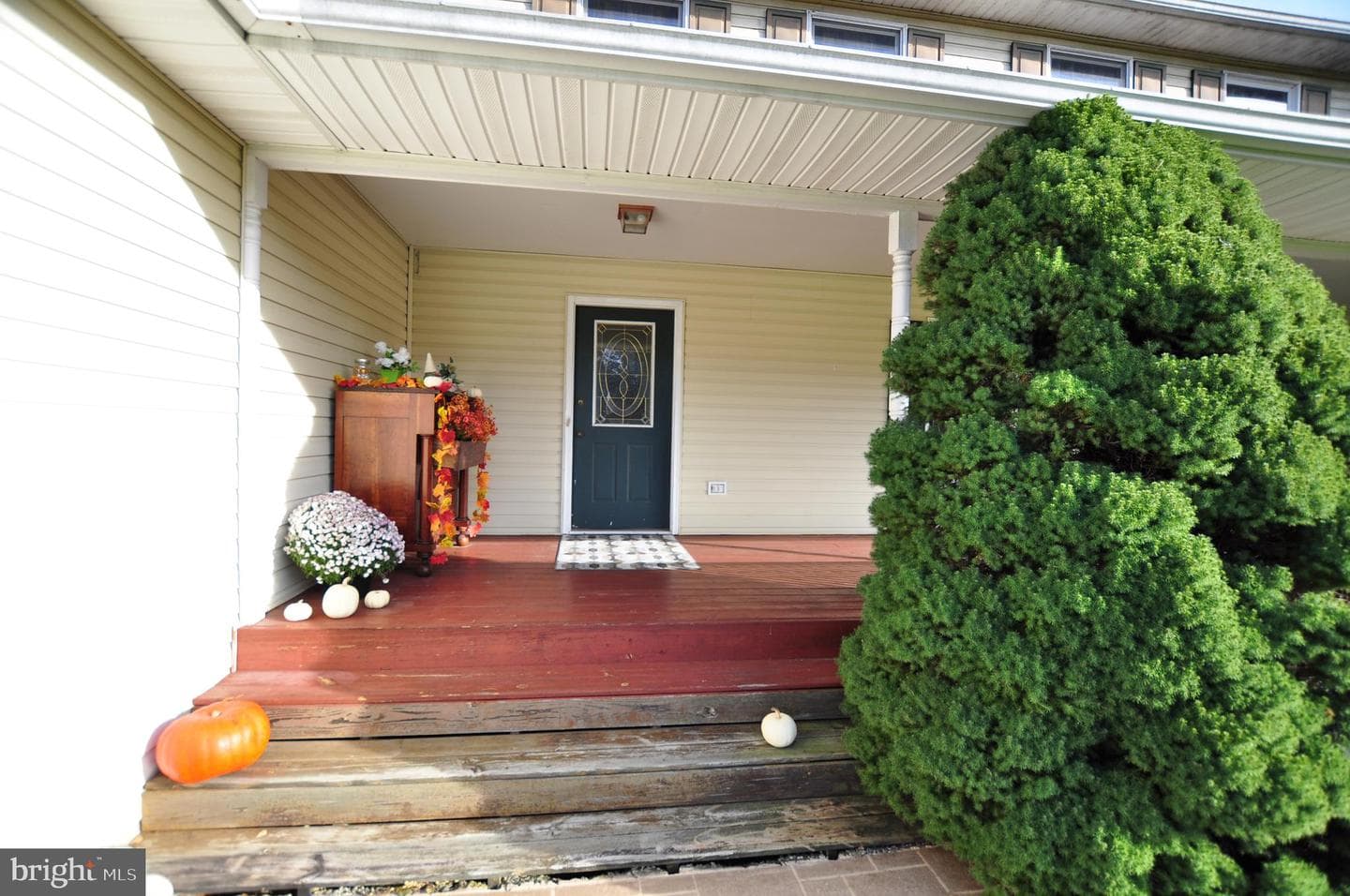 347 Irish Lane photo 7