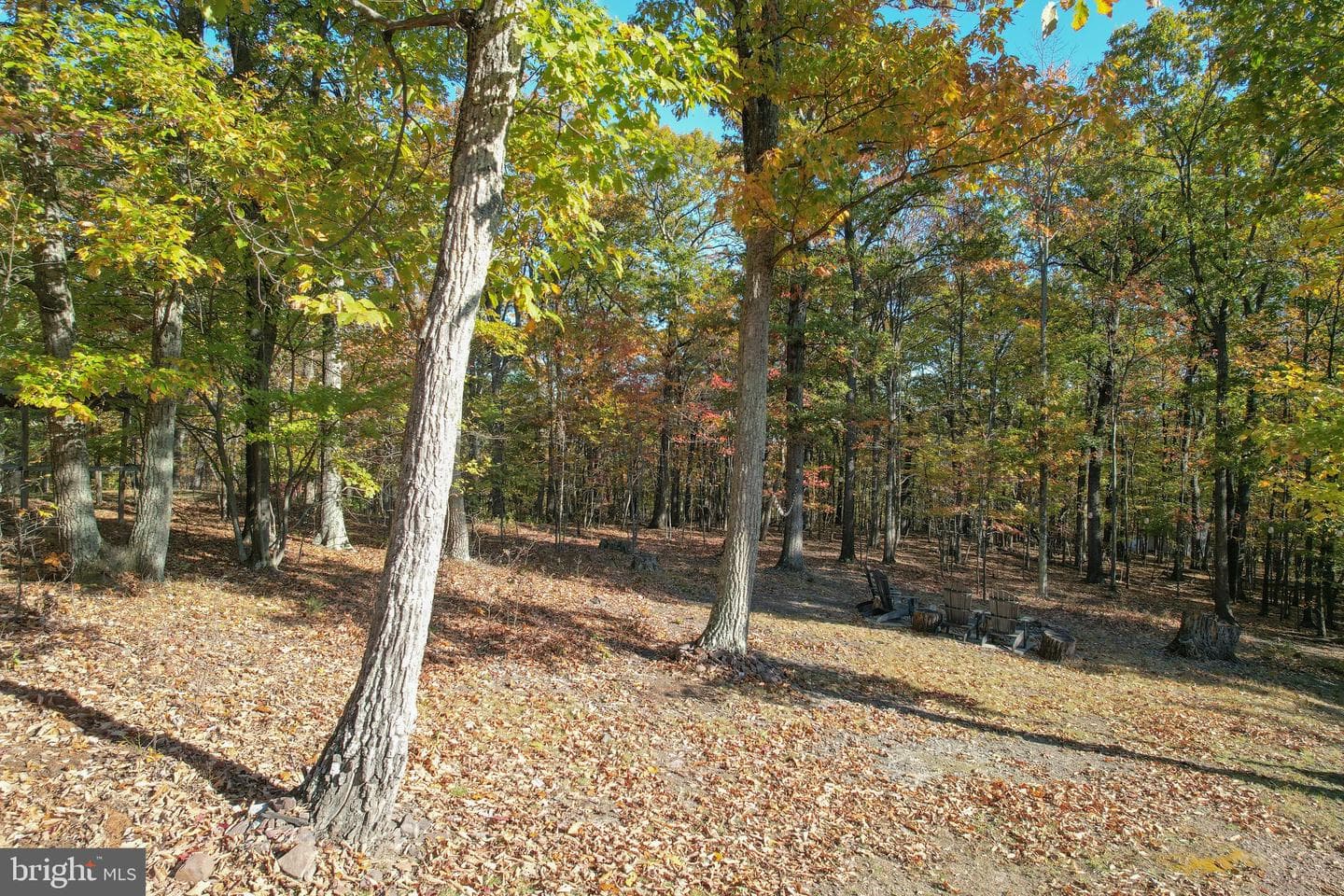 757 Pee Wee Lane photo 46