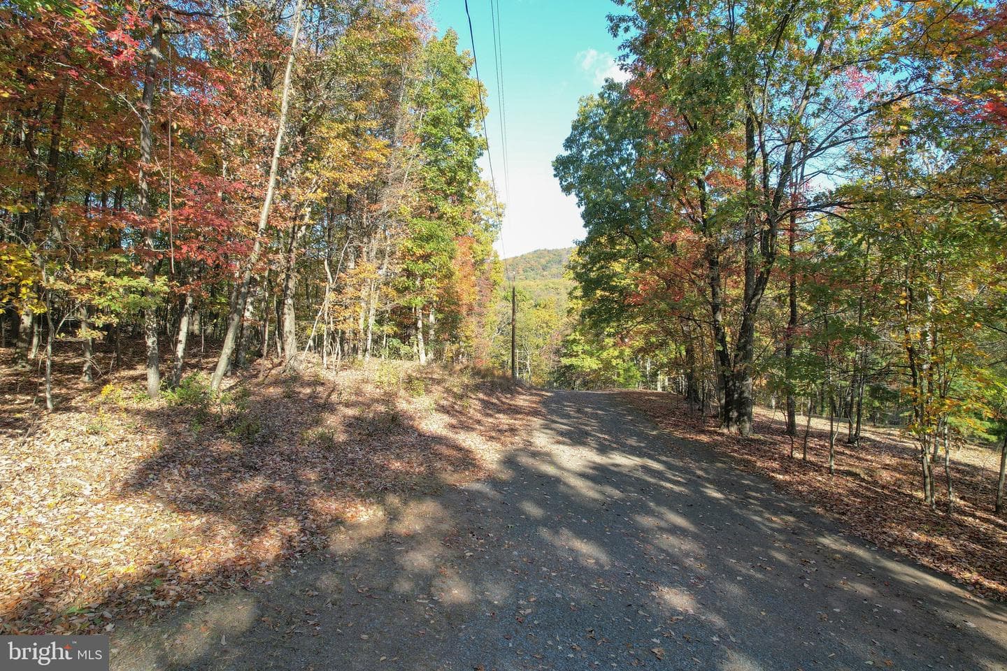 757 Pee Wee Lane photo 47