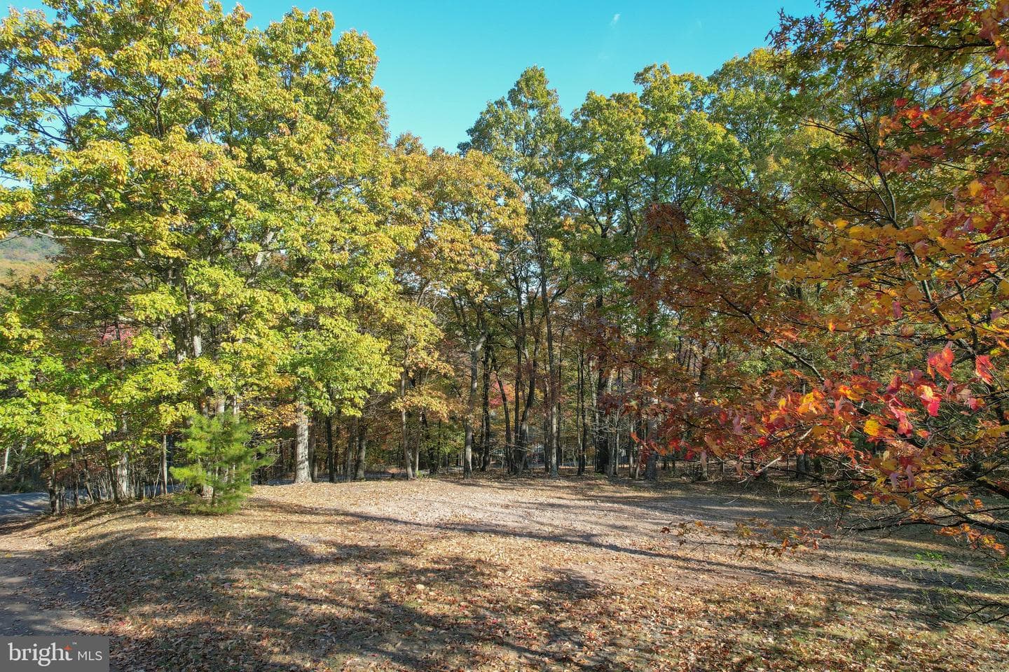 757 Pee Wee Lane photo 48