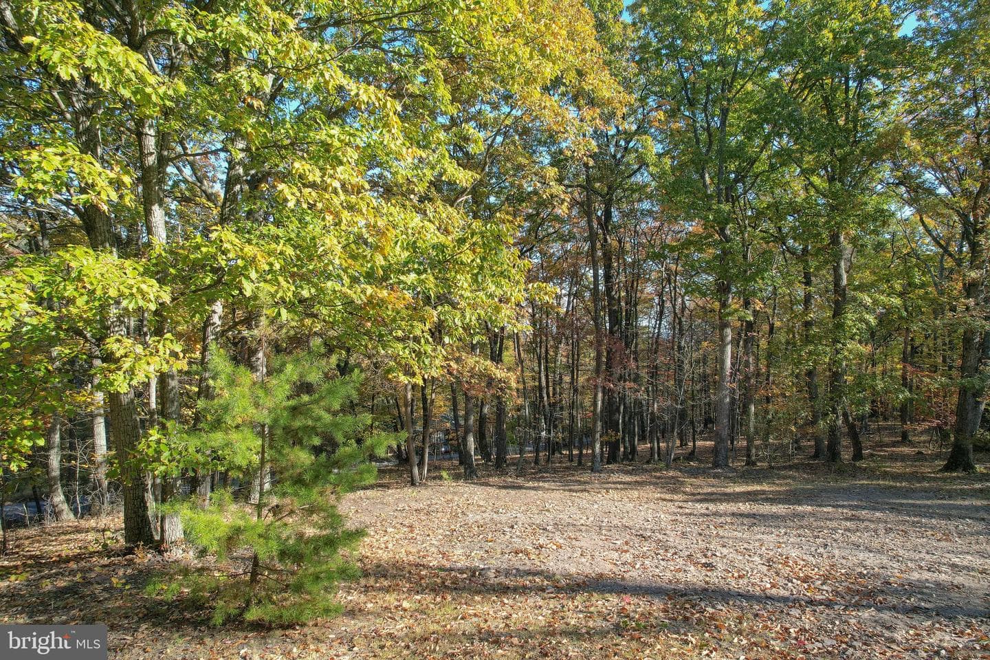 757 Pee Wee Lane photo 49
